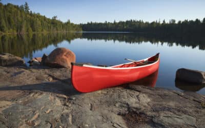 Rethinking Rest: What Summer Teaches Us About Sustainable Work Culture