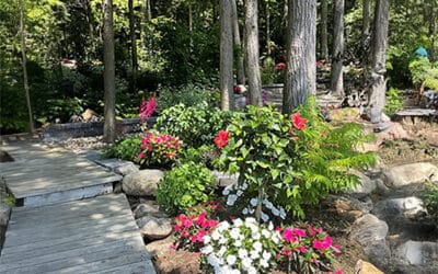 Weeding Your Garden: Making Space for Creative Growth at Work