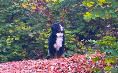 Letting Go: Making Space for What Matters Most